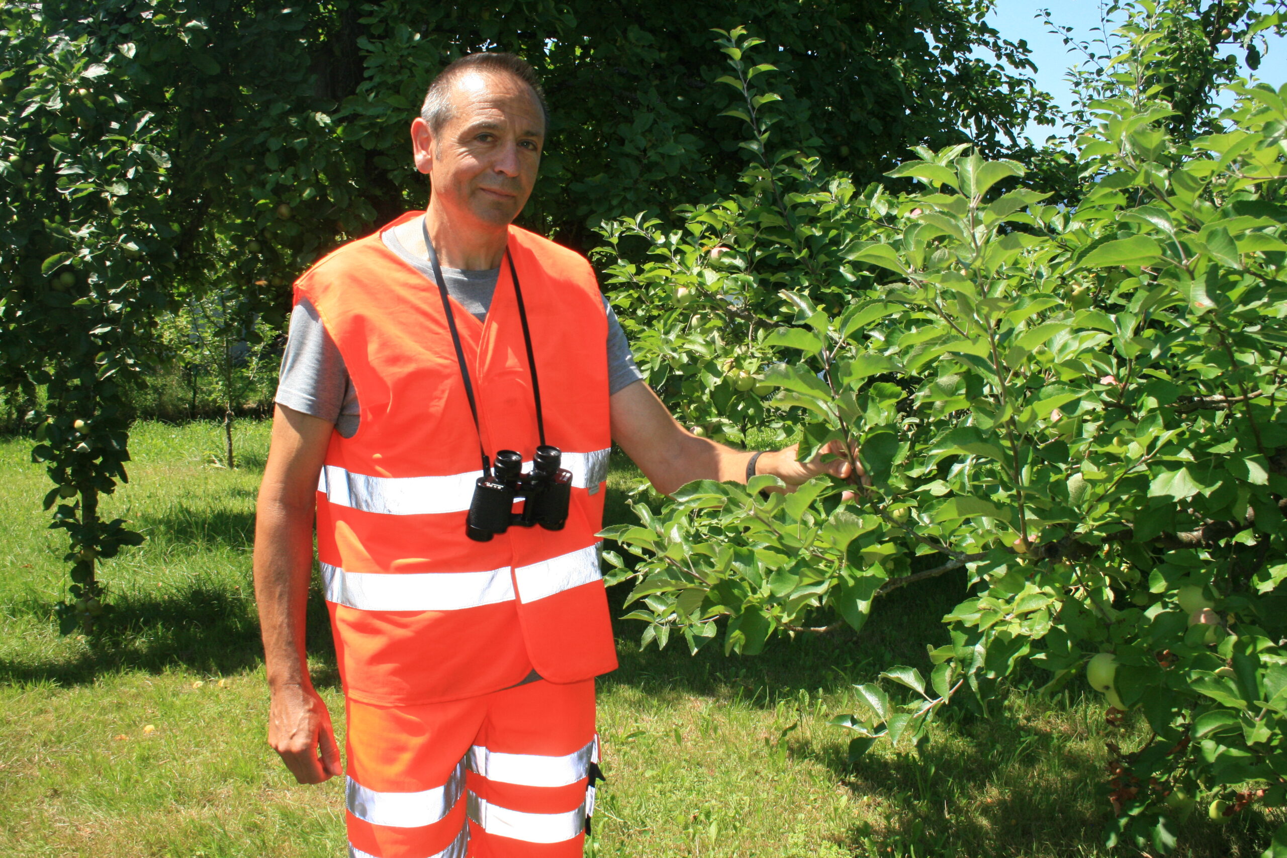 110718_reg_feuerbrand9381_cki