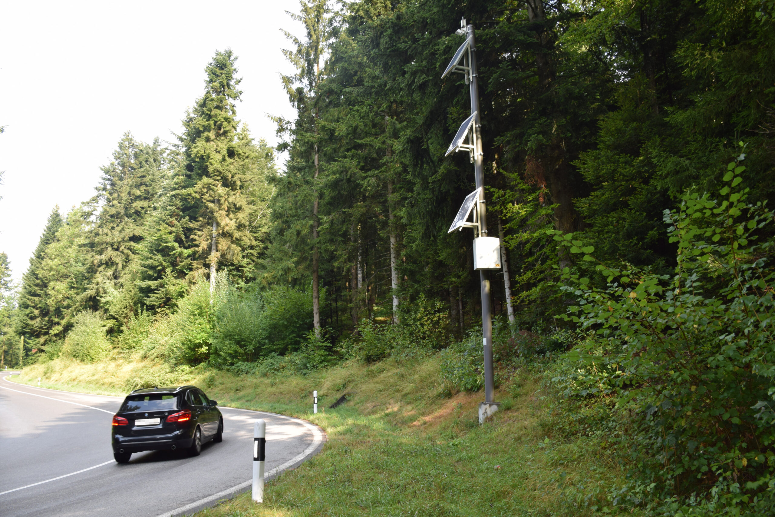 250818_reg_raserstrecke0668_lwe