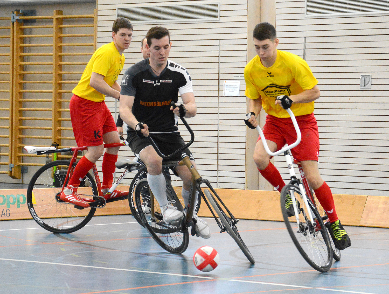 Radball
Nationalliga A
VC Schöftland
Freddy Schenk
Michael Baumann
März 2018