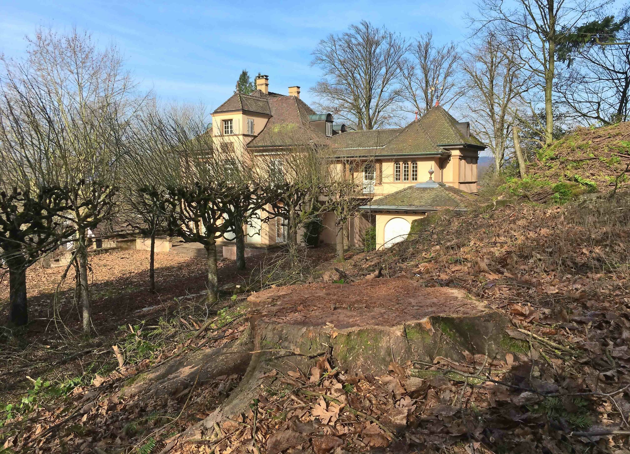Ringier_Villa5