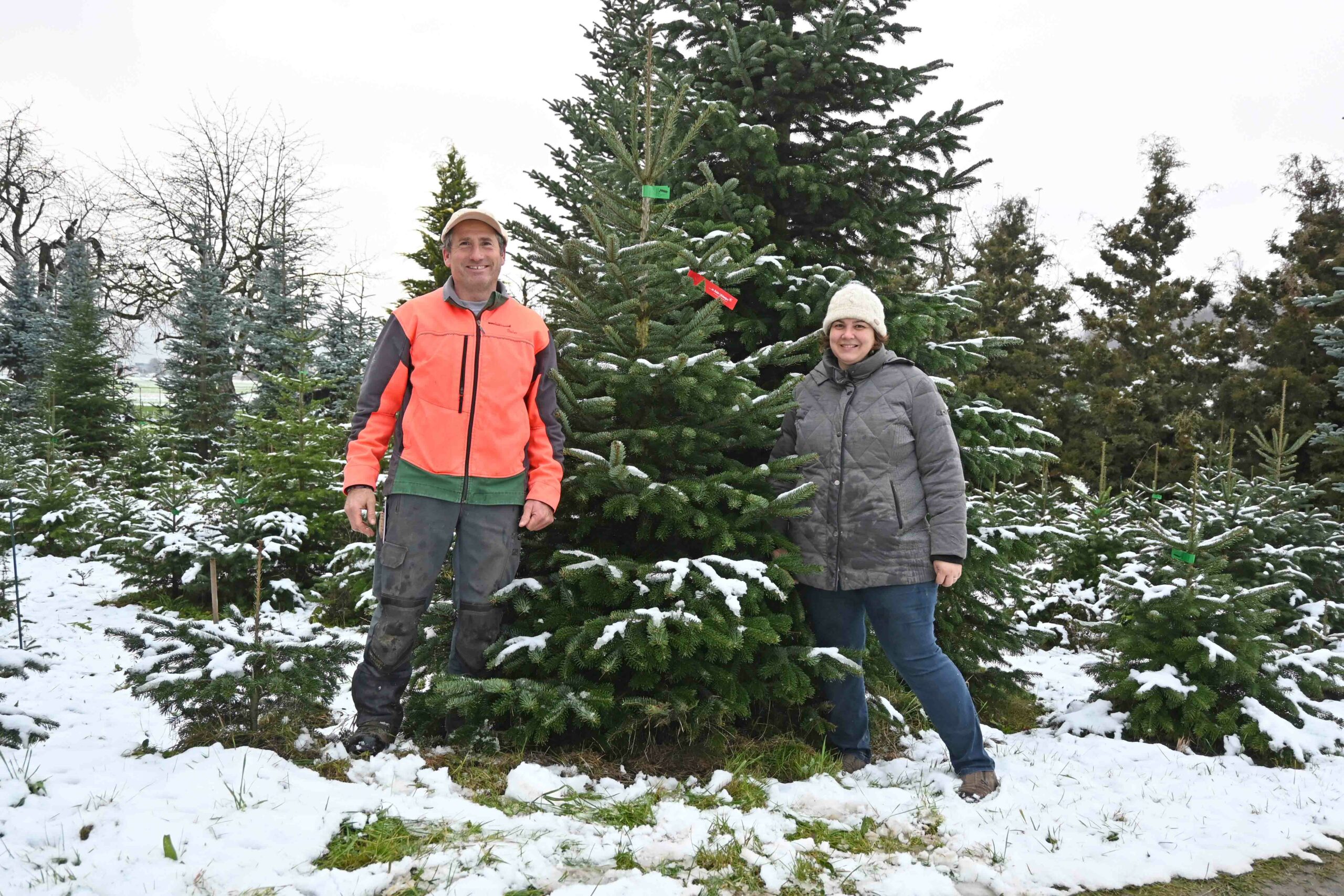 Thomas und Sandra Widmer in ihrer Christbaumkultur in Küngoldingen.