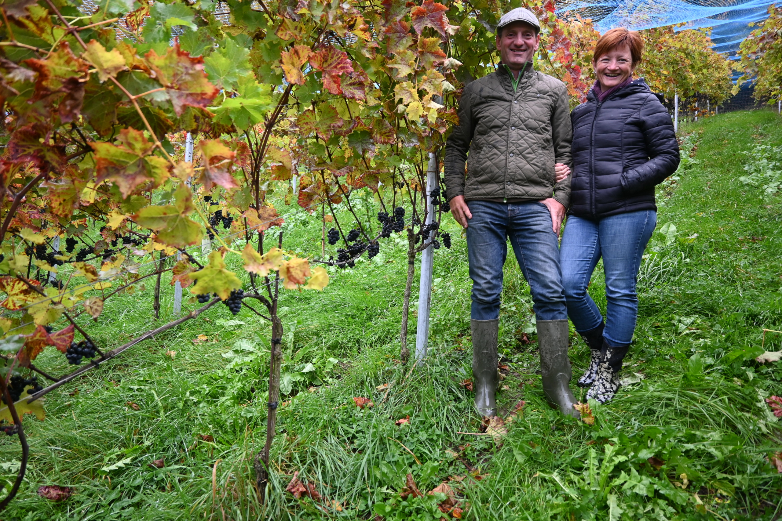 wullschleger_wein_tf