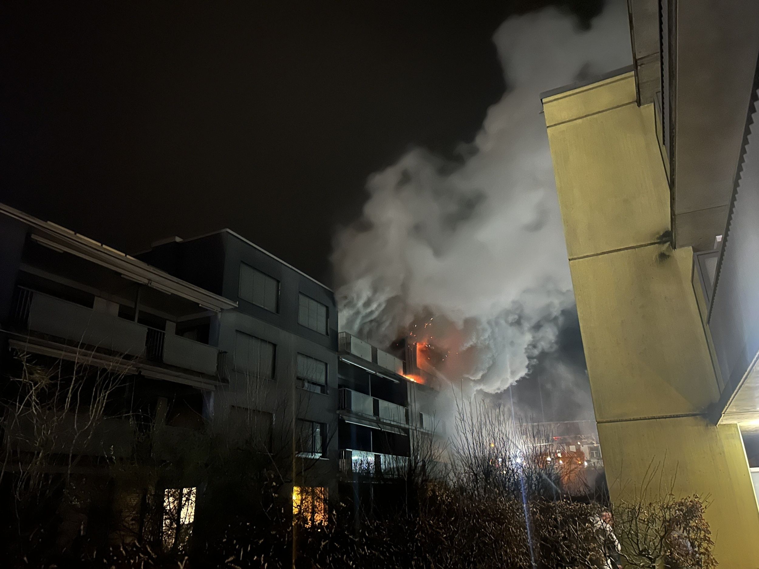 s3hub-zofingertagblatt-productionuploads2025012fefd443-9af9-89f3-7575-e40d3c785e27-1696548.jpeg
