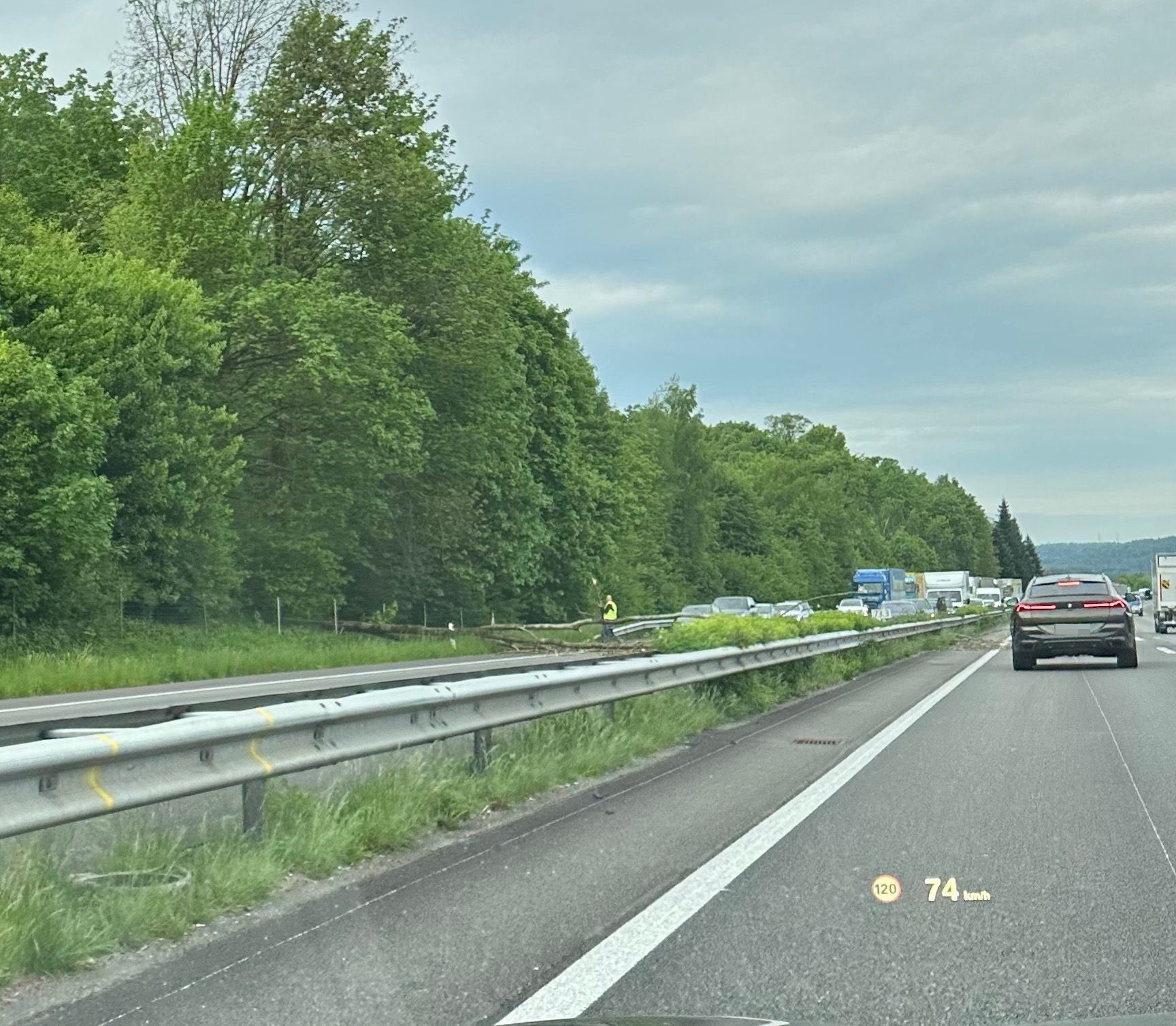 s3hub-zofingertagblatt-productionuploads20250526f566ad-2202-cf91-d419-7eed65e50930-1826236.jpeg