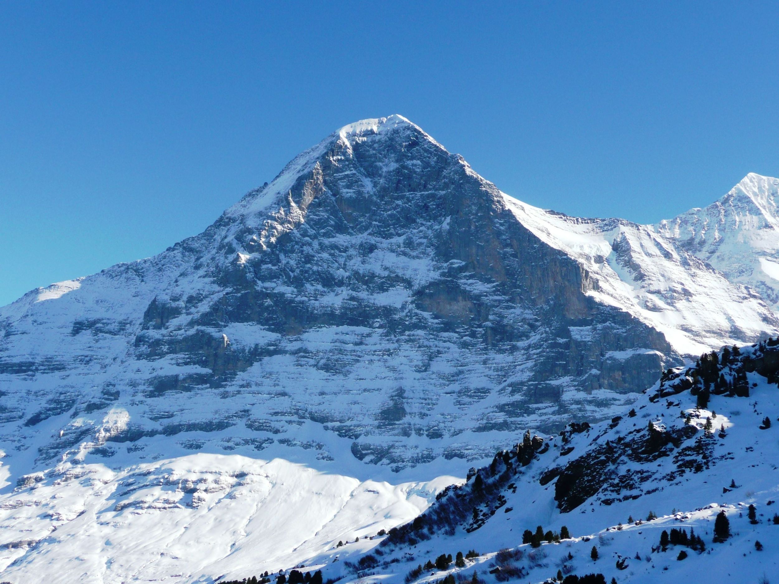 s3hub-zofingertagblatt-productionuploads2025057d423c54-661e-1b37-f175-04410c8a4b64-1836821.jpeg