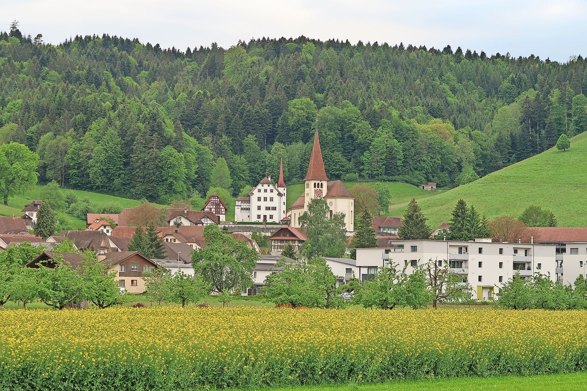 s3hub-zofingertagblatt-productionuploads202505a72f1755-0232-1d0b-2f68-e4351fcee9c6-1846947.jpeg