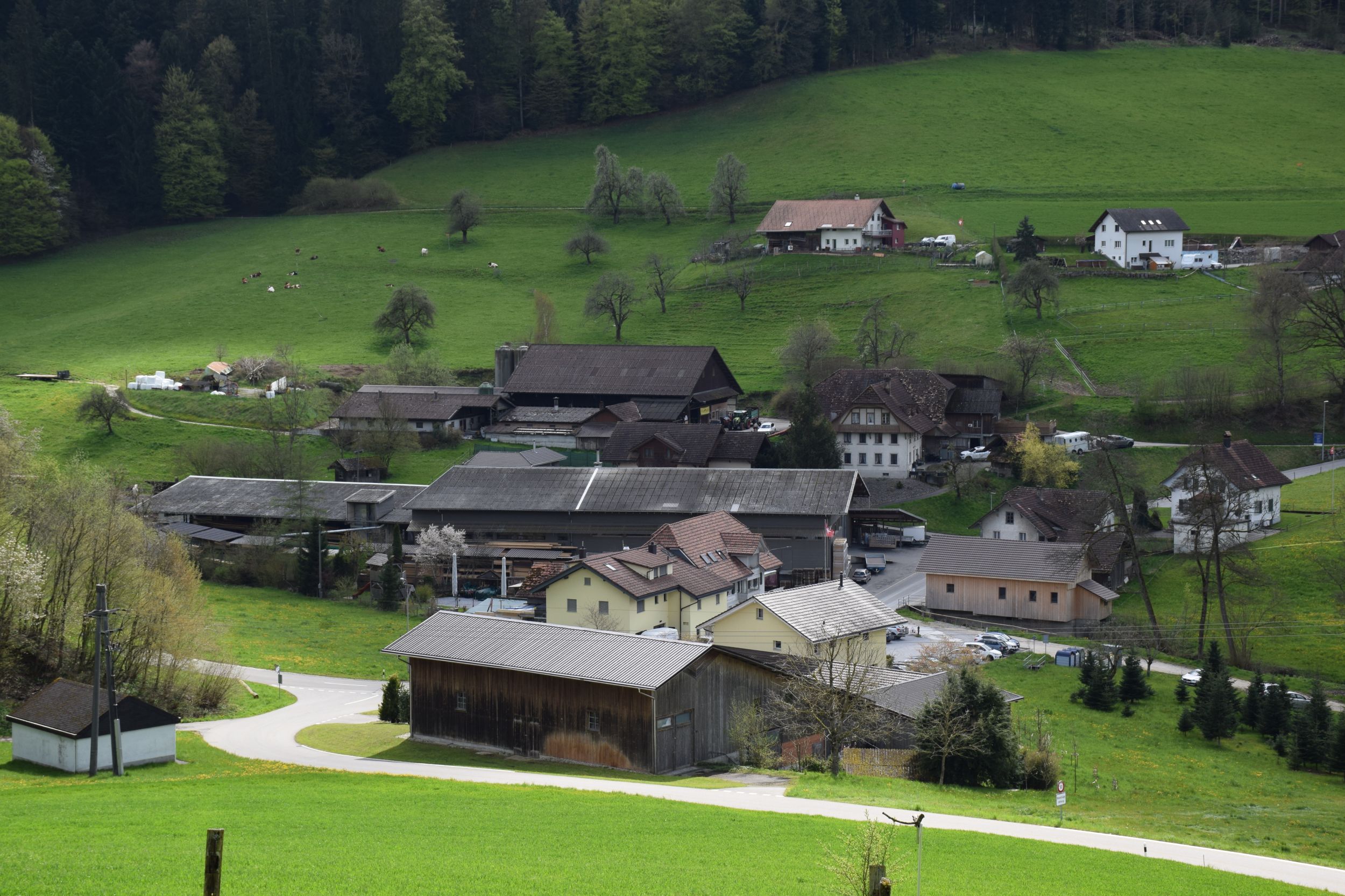 s3hub-zofingertagblatt-productionuploads20250629685a47-4007-e778-7a9b-8537fa24e390-1864566.jpeg
