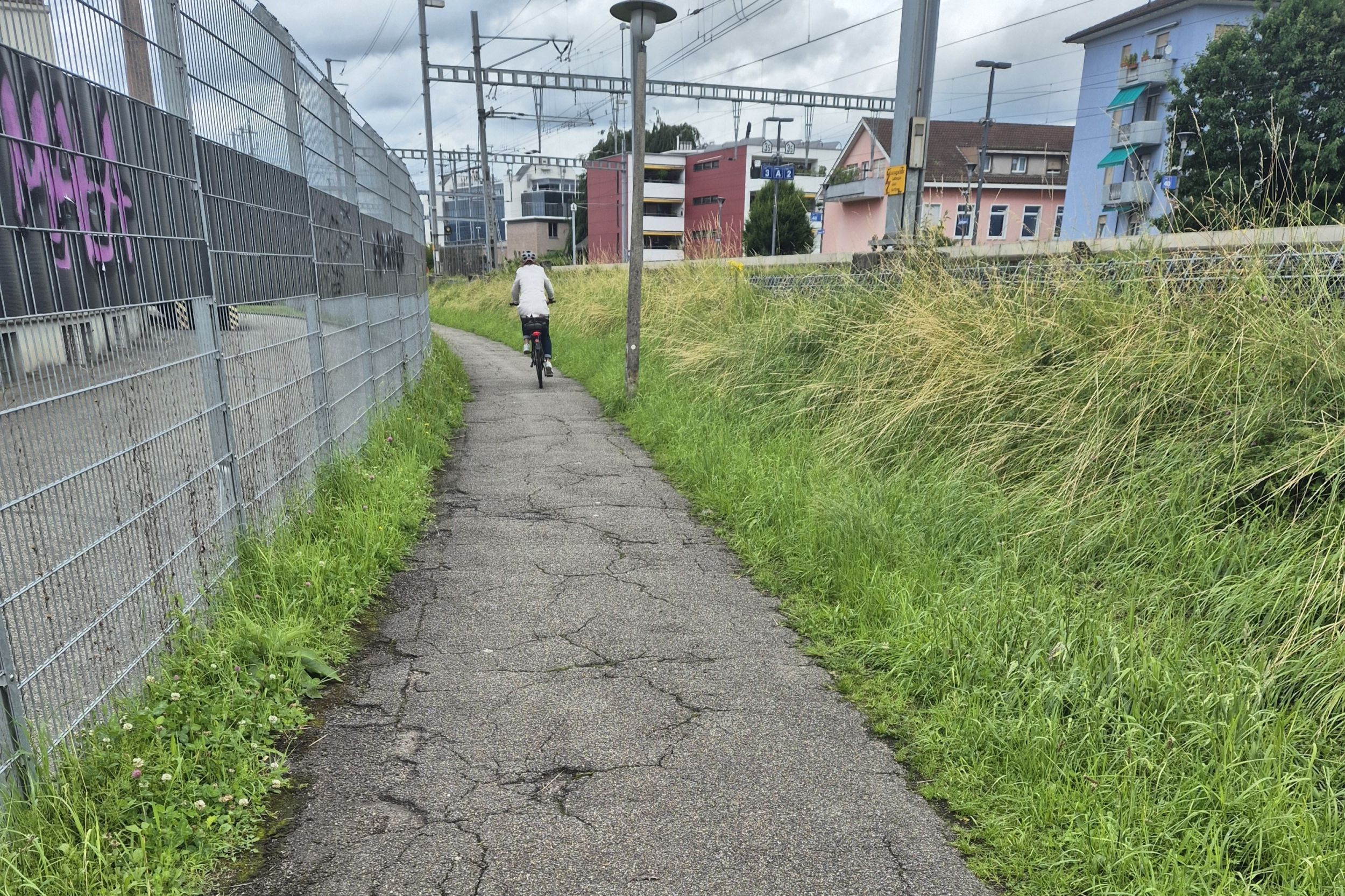 s3hub-zofingertagblatt-productionuploads20250648d62a85-d5c7-1ba1-76c5-a584b1e54b2e-1875814.jpeg
