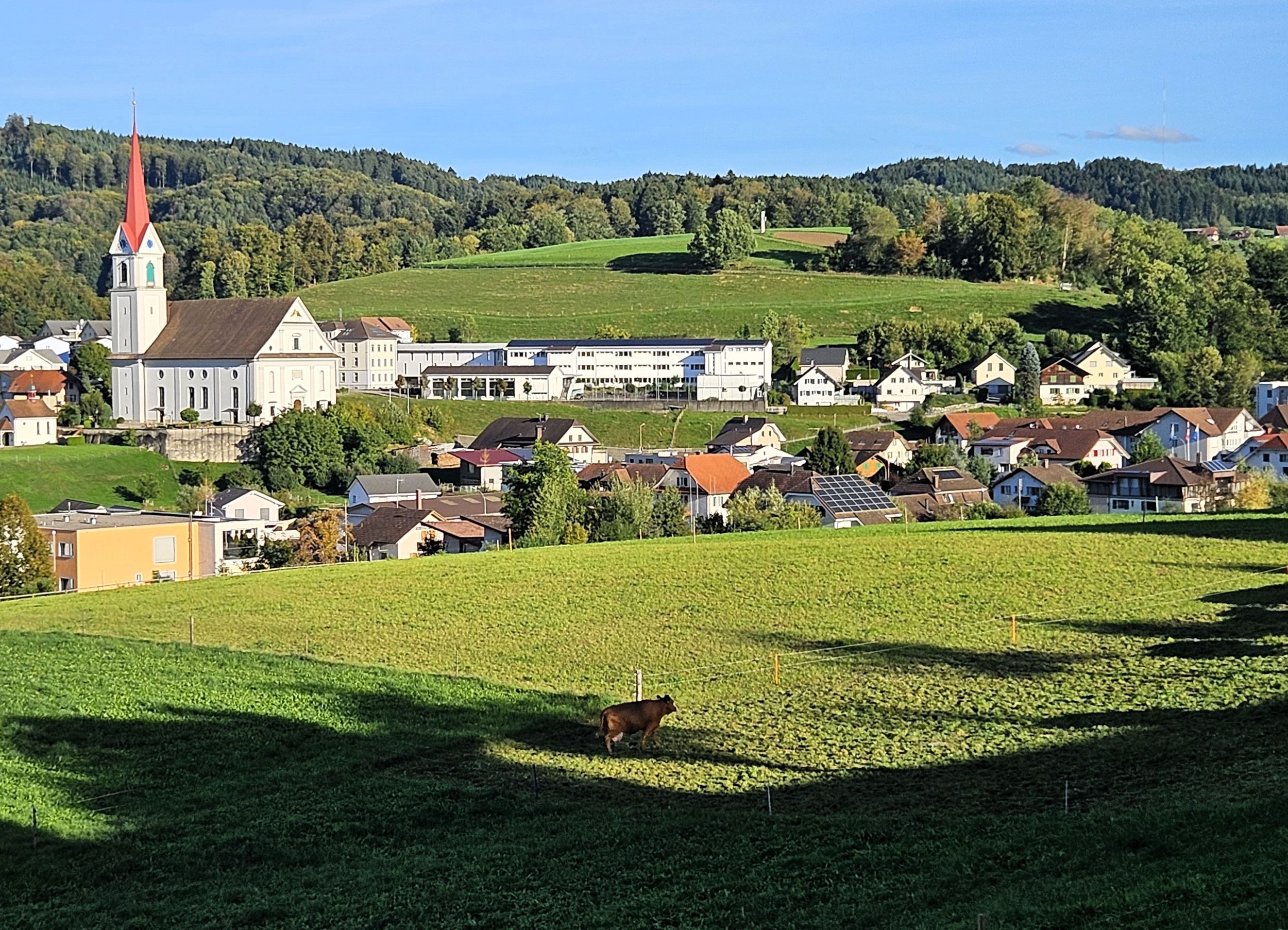 s3hub-zofingertagblatt-productionuploads20250665e26b9a-285b-dea4-ec31-73667b93584a-1857963.jpeg