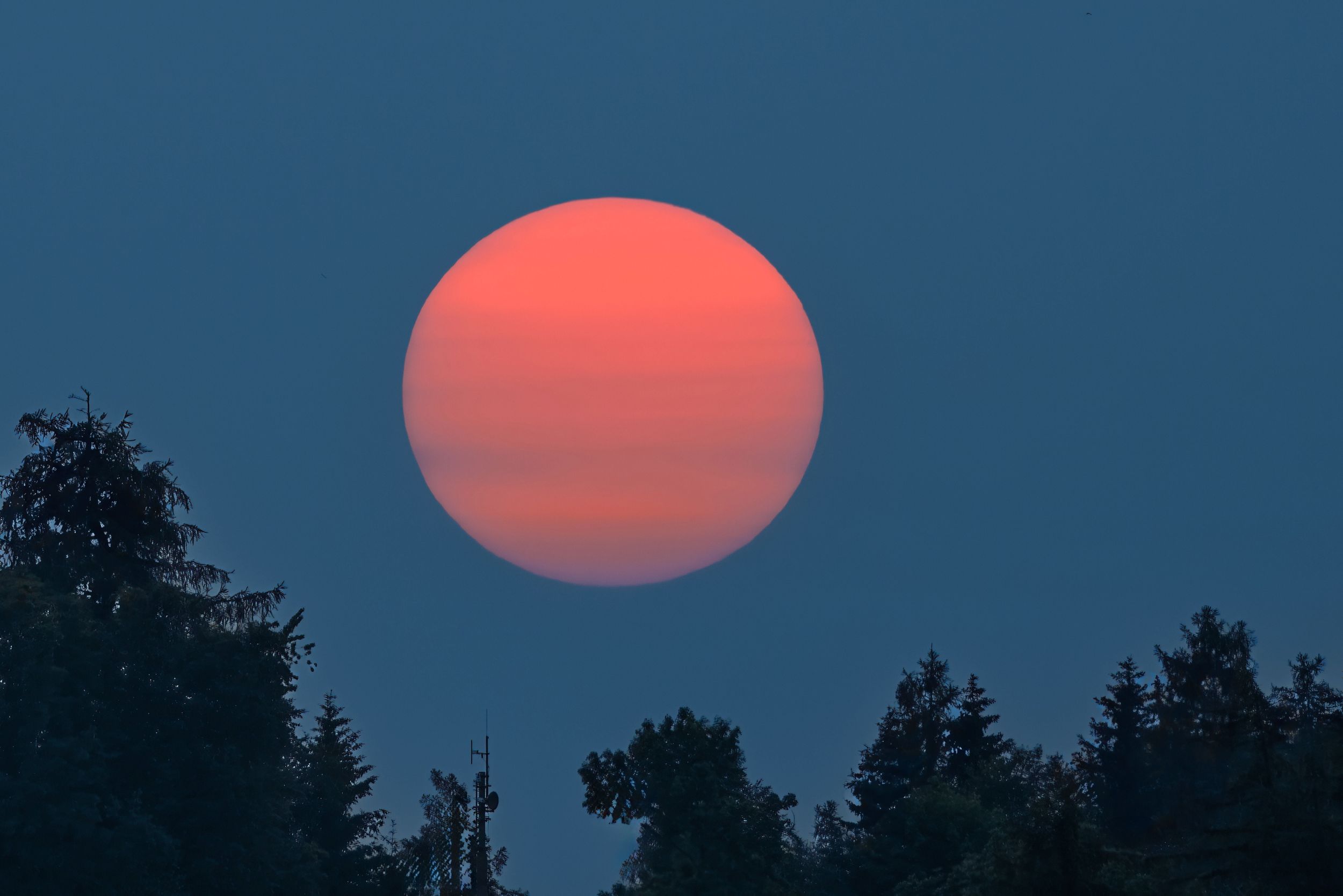 s3hub-zofingertagblatt-productionuploads2025066e640190-41b9-f76a-6494-069b91e78ee7-1865326.jpeg