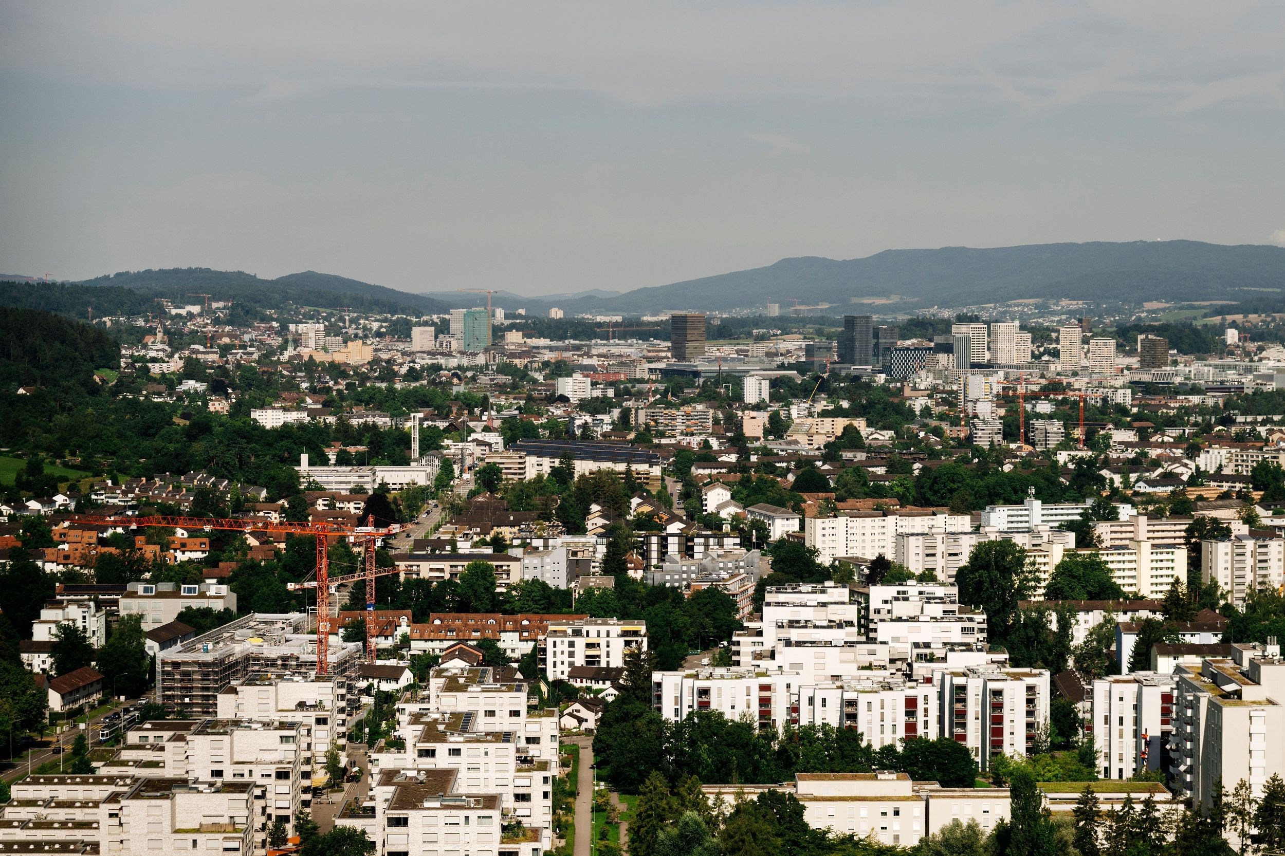 s3hub-zofingertagblatt-productionuploads202506881f502c-dbc3-e46d-a28b-d54097a91864-1879087.jpeg