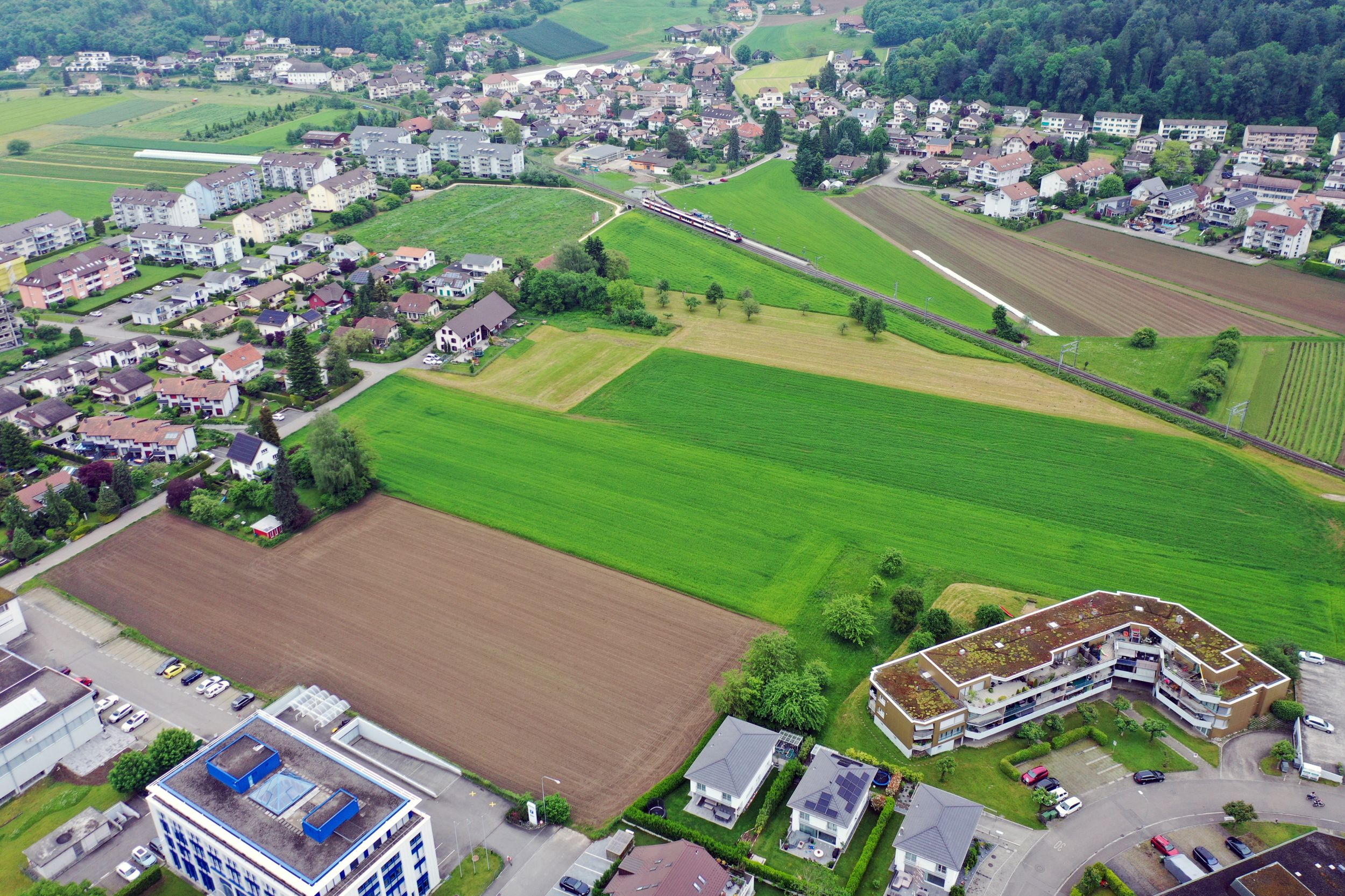 s3hub-zofingertagblatt-productionuploads202506c83afccb-0281-6117-c3a6-7f7c281773b1-1867365.jpeg