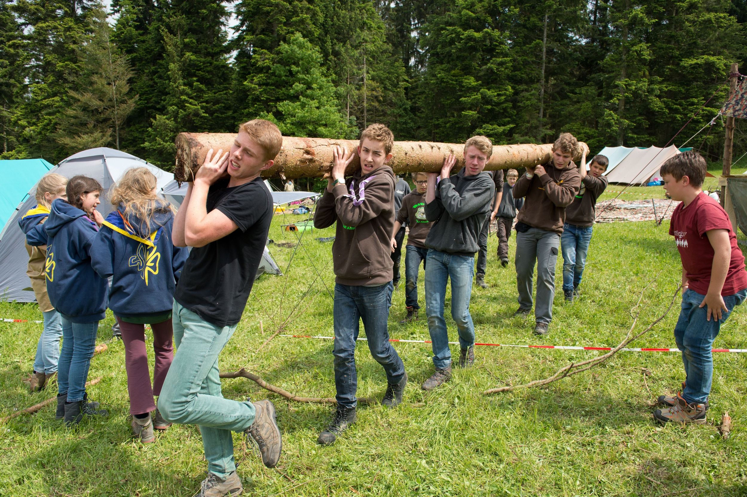s3hub-zofingertagblatt-productionuploads2025070ca68652-4972-16e5-a337-e2f9b253a815-1896683.jpeg