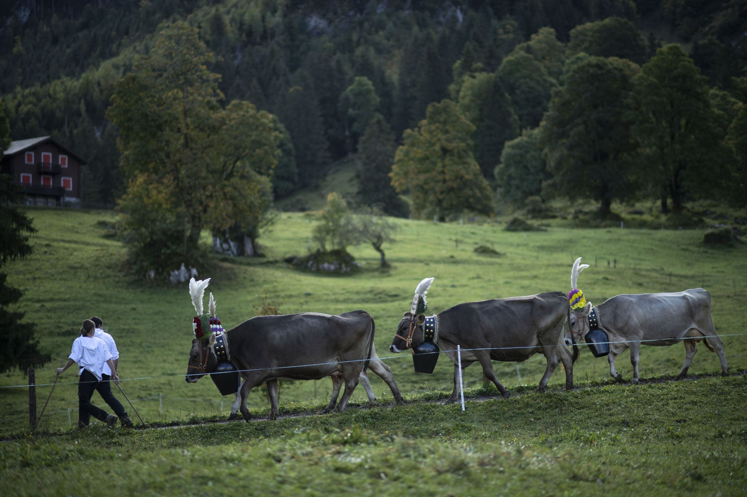 s3hub-zofingertagblatt-productionuploads20250789b7096a-a58b-a830-f7f1-3e2d085af164-1918148.jpeg