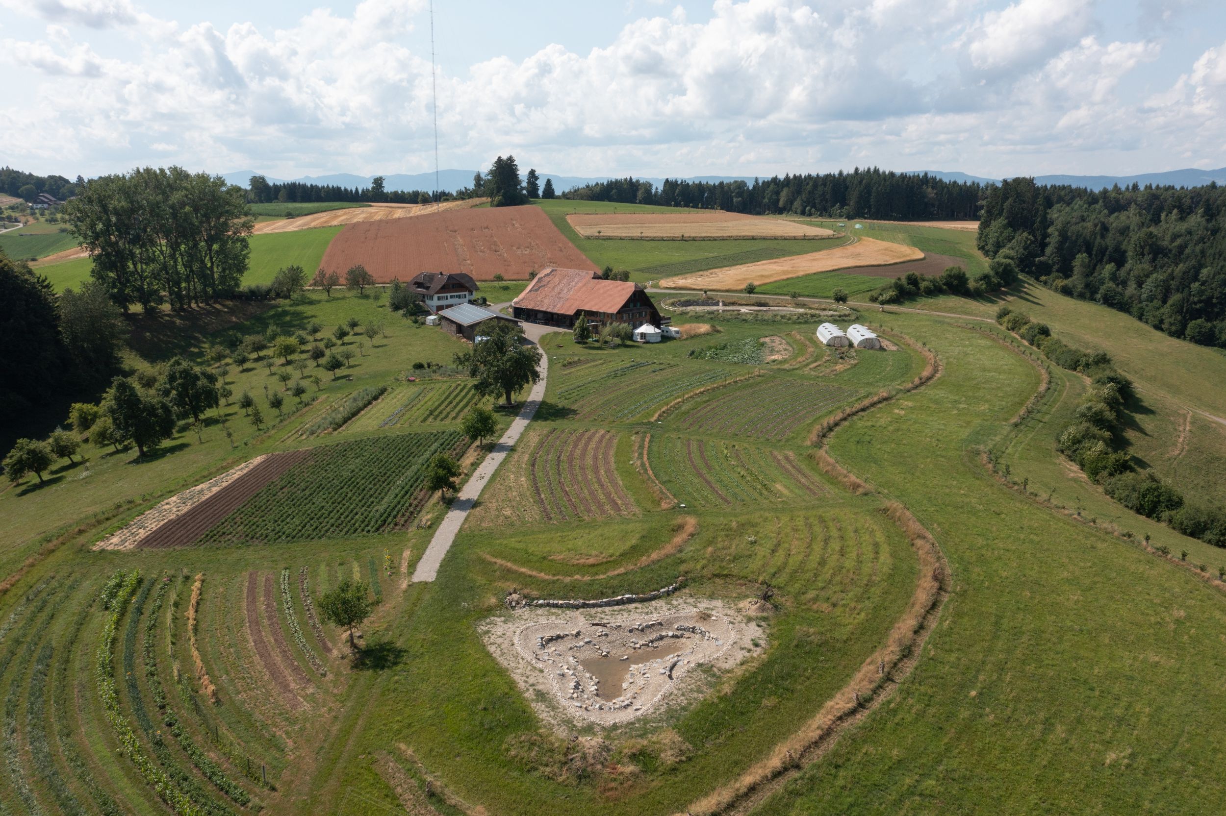 s3hub-zofingertagblatt-productionuploads202507bd5b1d61-d99b-bebb-75e7-6cd633378107-1912417.jpeg
