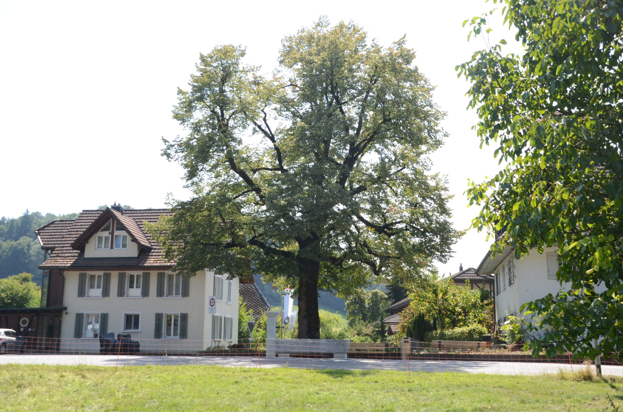 s3hub-zofingertagblatt-productionuploads2025080aa7721b-d88b-7a34-67ff-d0f9fb2b816b-1942658.jpeg