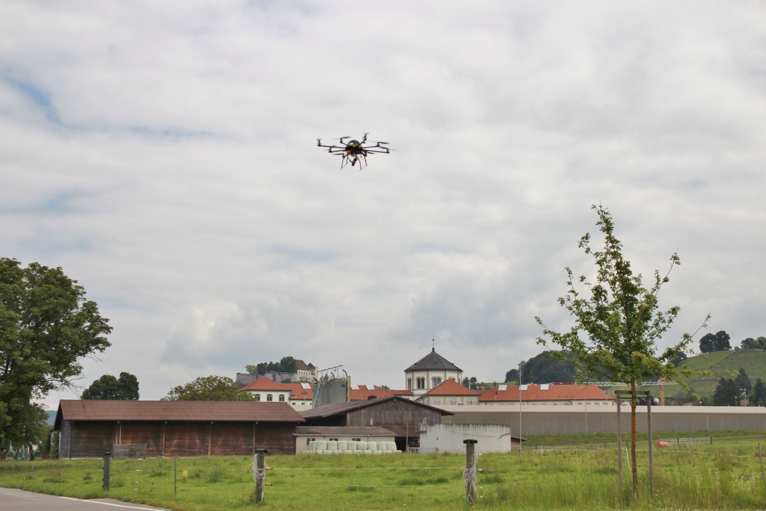 s3hub-zofingertagblatt-productionuploads20250819c305ae-af5b-d59f-5d86-8ee0ece18082-1923146.jpeg
