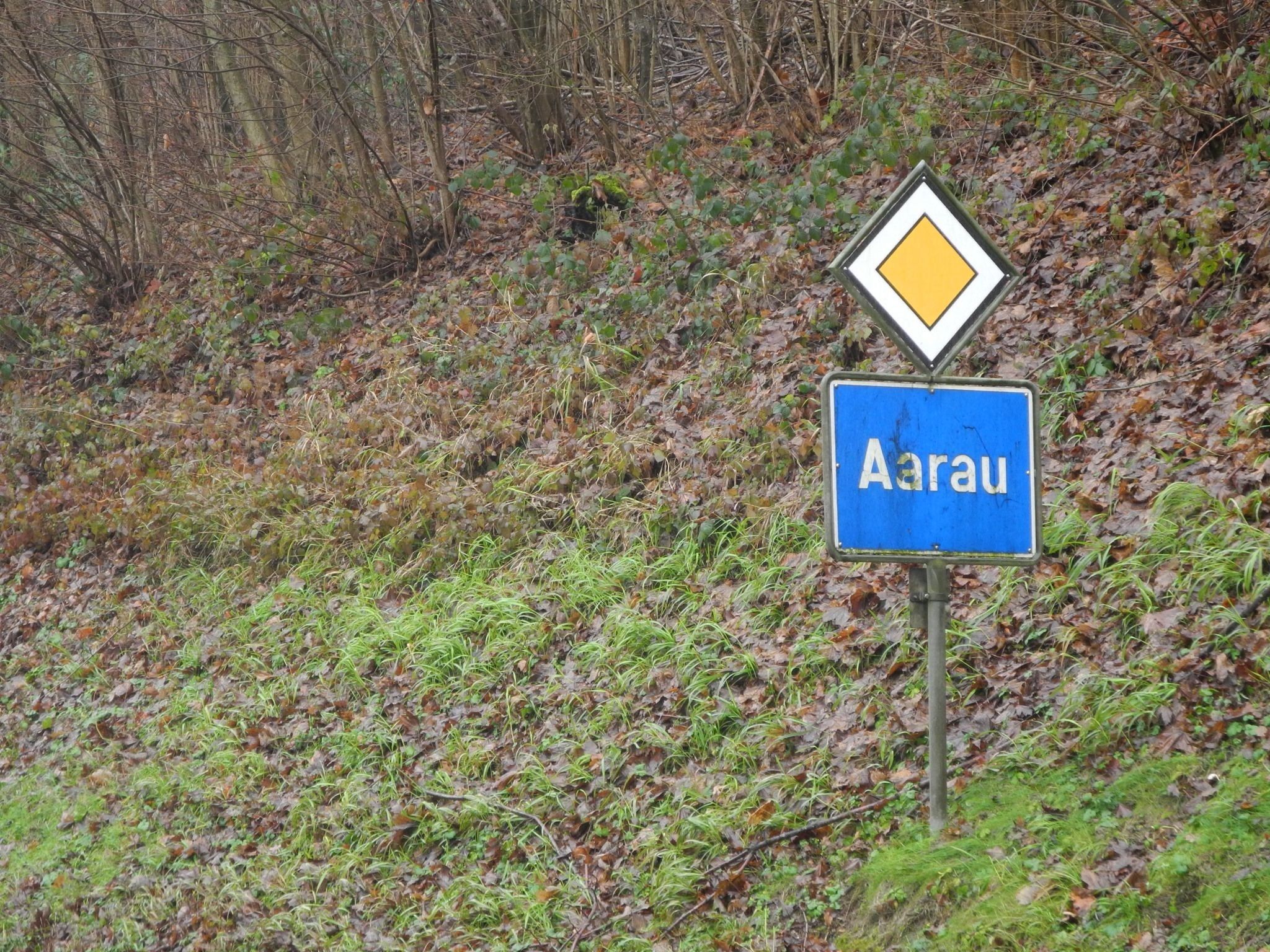 s3hub-zofingertagblatt-productionuploads2025084a4ea52e-6ee7-6877-e7ea-4aef816967da-1927546.jpeg