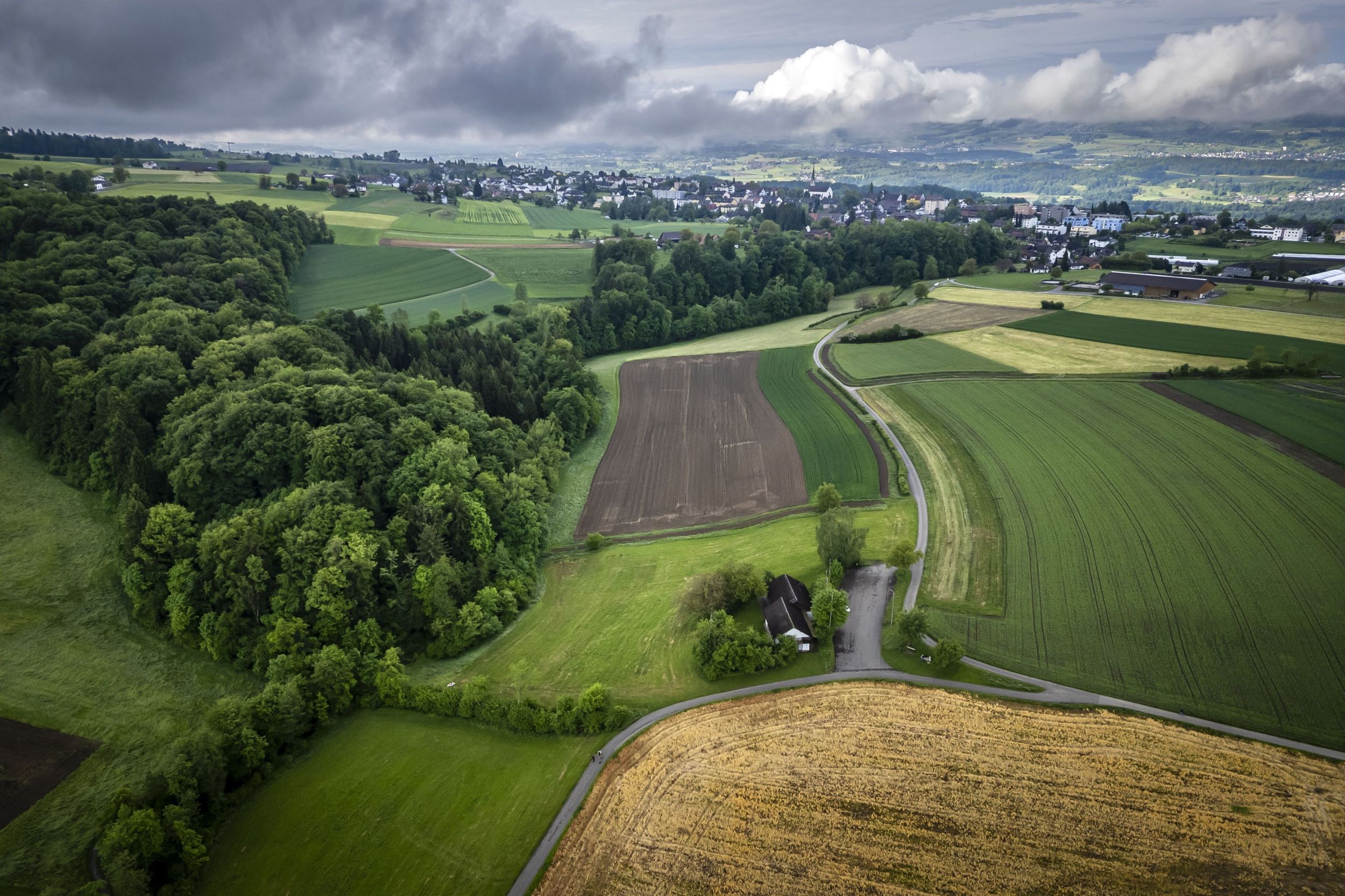 s3hub-zofingertagblatt-productionuploads20250887b45088-b565-4fb6-02f6-64a30aa478a2-1951932.jpeg