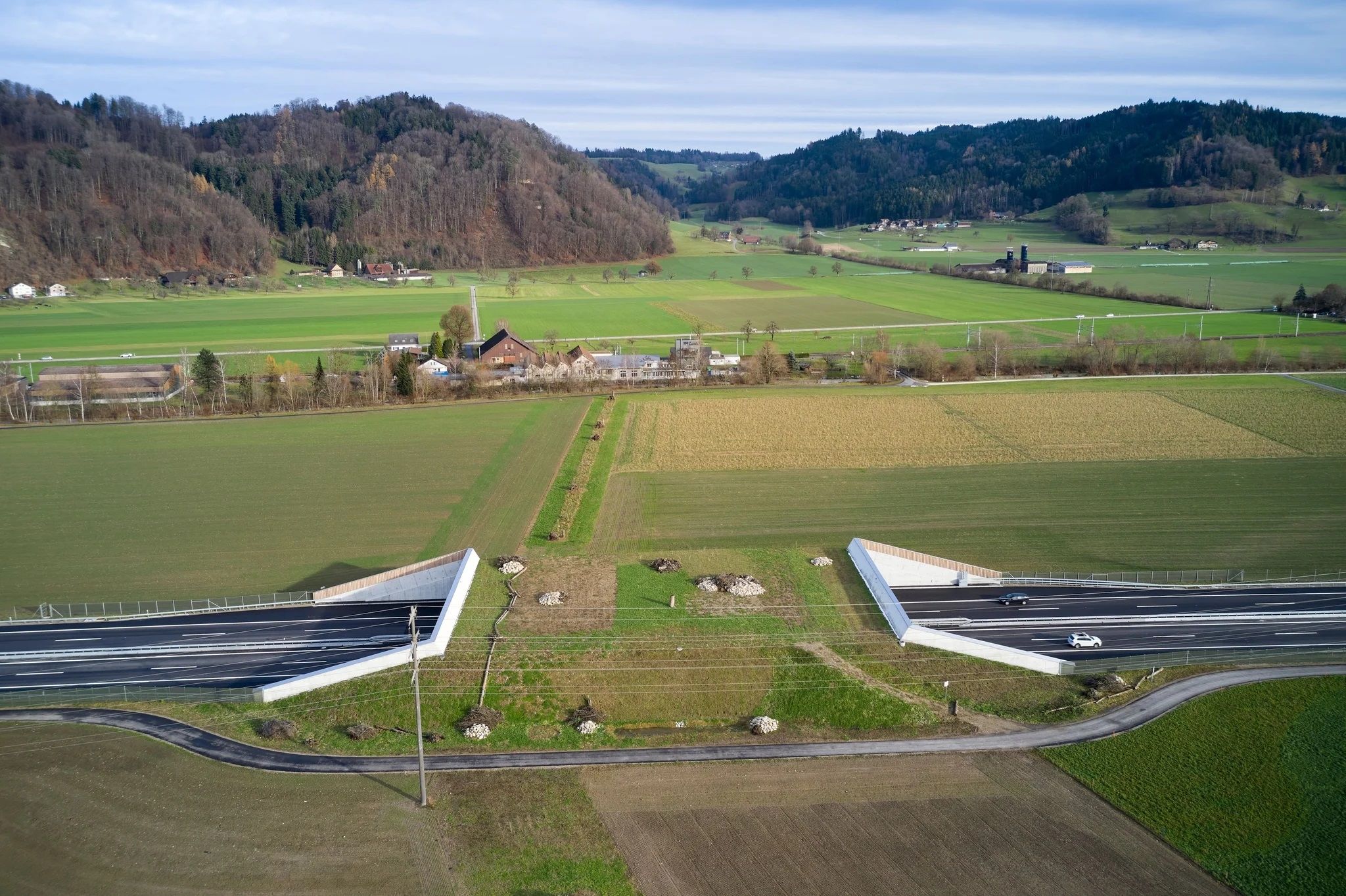s3hub-zofingertagblatt-productionuploads202509308be72b-7df0-d5dc-be61-de81a01143e4-1964648.jpeg