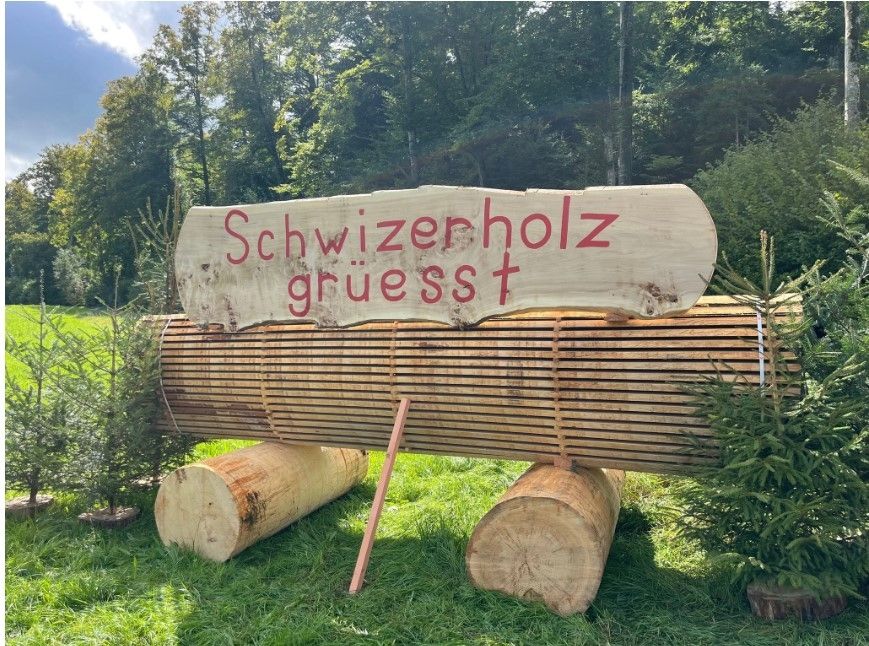 s3hub-zofingertagblatt-productionuploads202509ef248869-2cf3-24d6-7523-ab85516d9c2f-1962247.jpeg