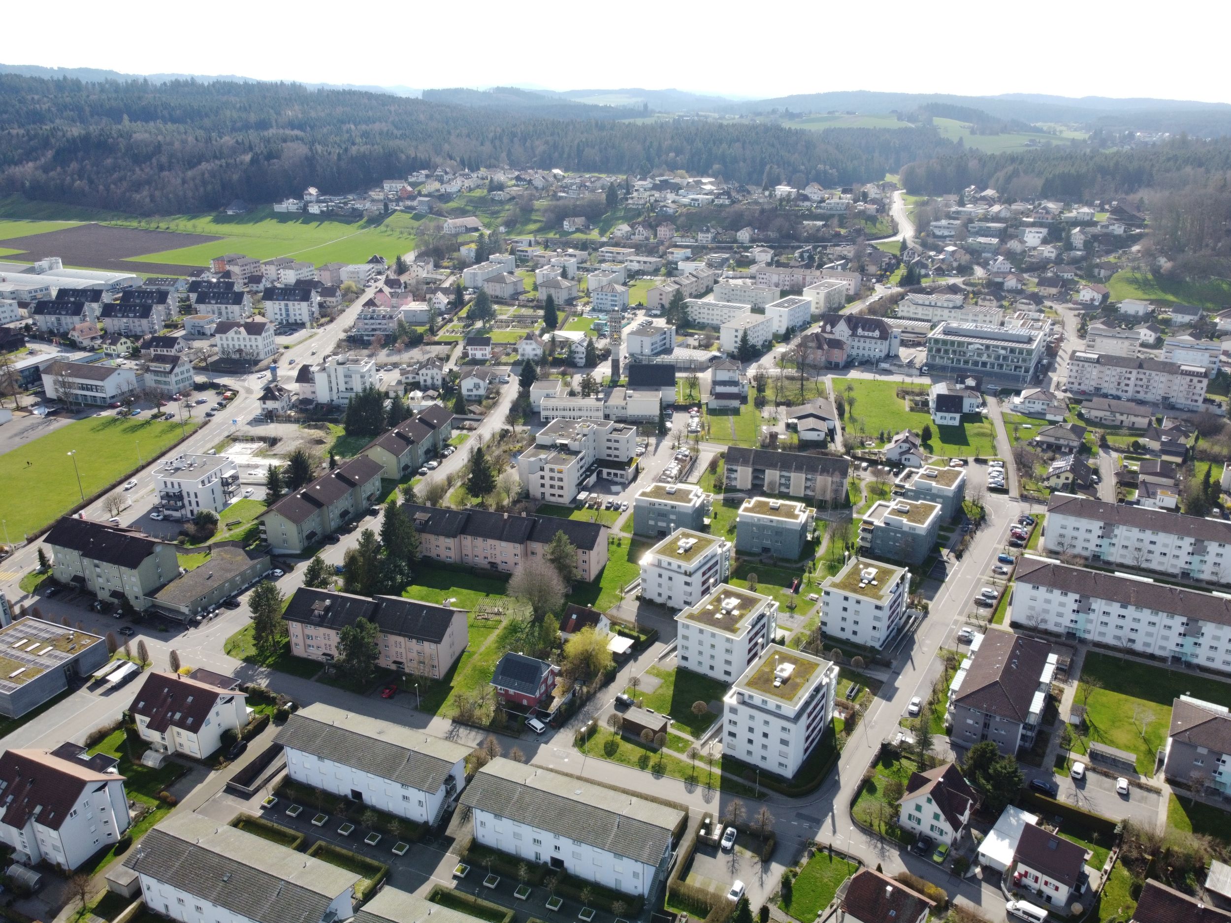 s3hub-zofingertagblatt-productionuploads2025102490f6bd-48c7-9cbc-e5e8-49ca448704ff-1982710.jpeg