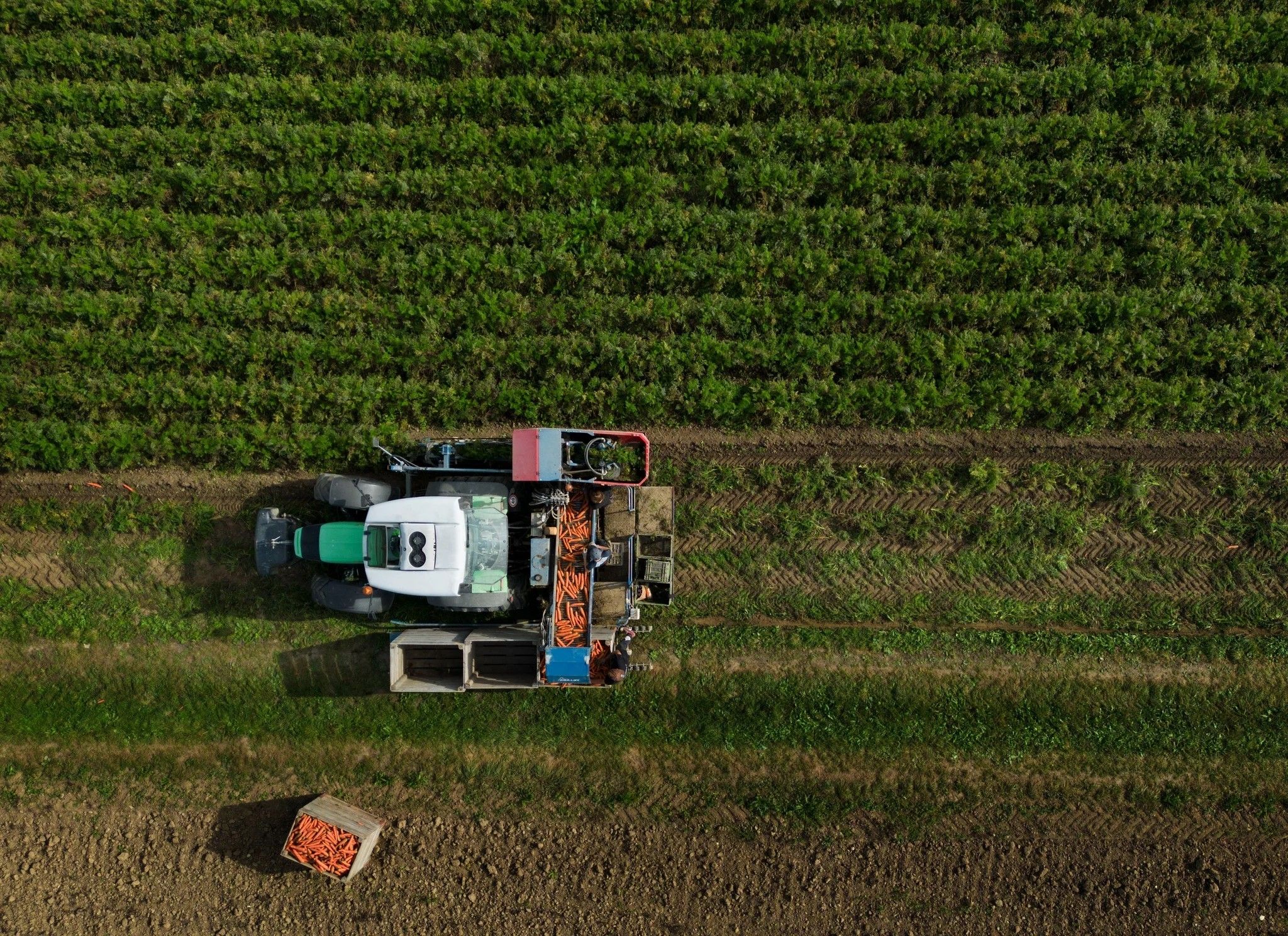 s3hub-zofingertagblatt-productionuploads2025107769d7e7-6a5d-d14e-f47f-7b51d333f597-1982158.jpeg