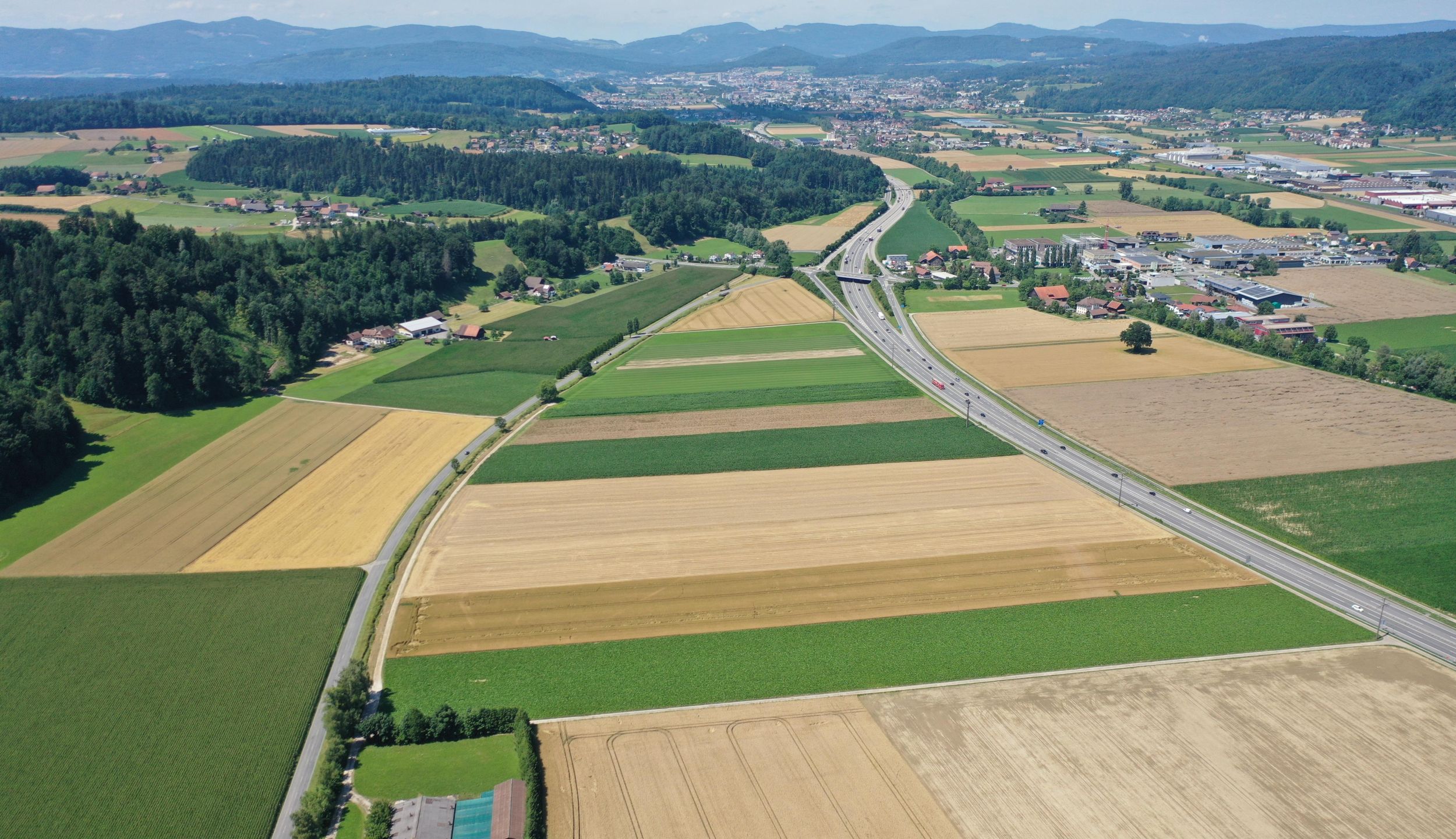 s3hub-zofingertagblatt-productionuploads202510992f5773-2328-befd-73b9-45751a2cba42-1973537_cx_14_cy_10_cw_5458_ch_3147.jpeg