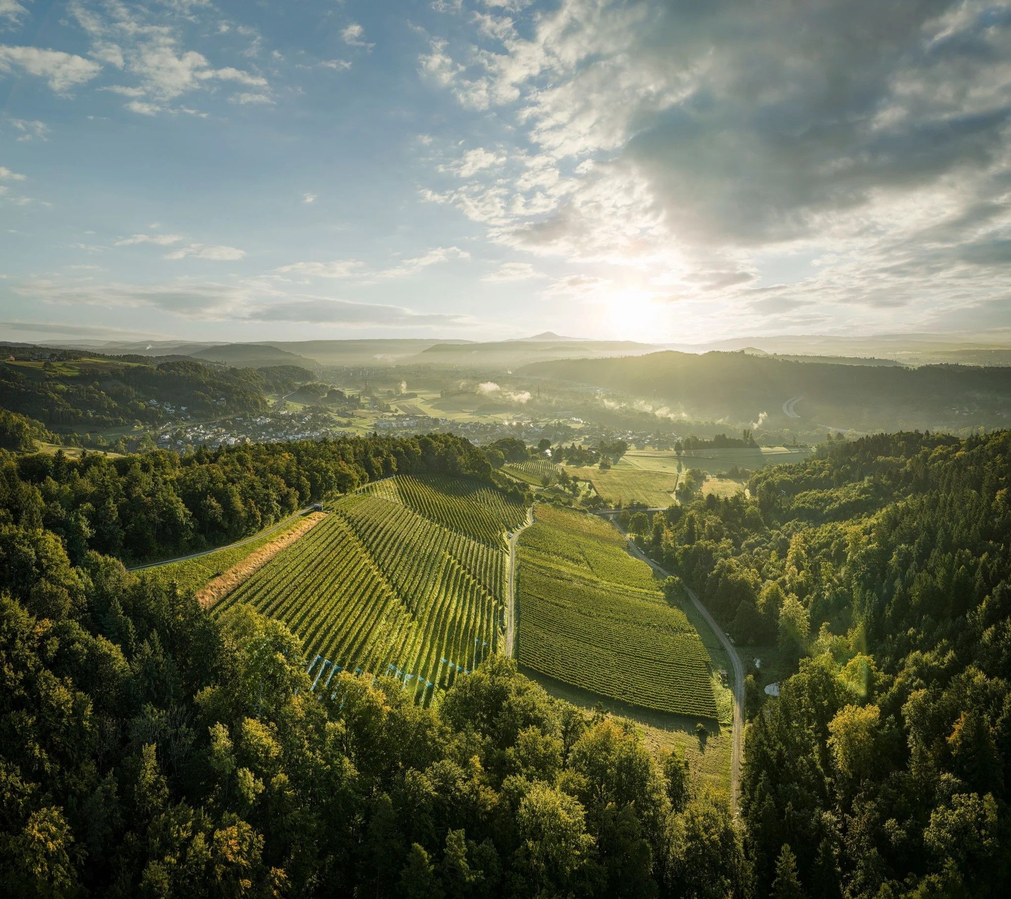 s3hub-zofingertagblatt-productionuploads202510a0e72bd2-f476-aab1-a6da-2f1eee303437-1972703.jpeg